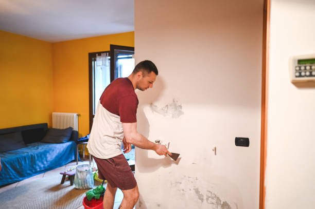 Best Home Mold Removal  in Stanley, NC